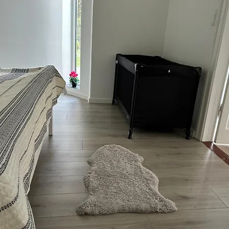 Daire Luxury Curchi 2