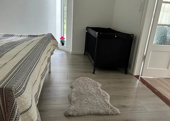 Apartamento Luxury Curchi 2